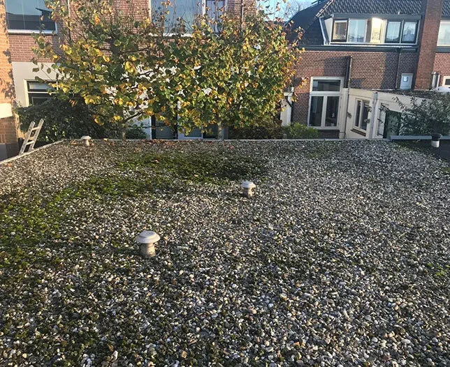 Plat dak voor renovatie - grind en mos